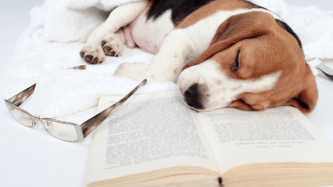 Stop reading books that you don't like to help yourself develop a healthy reading habit.