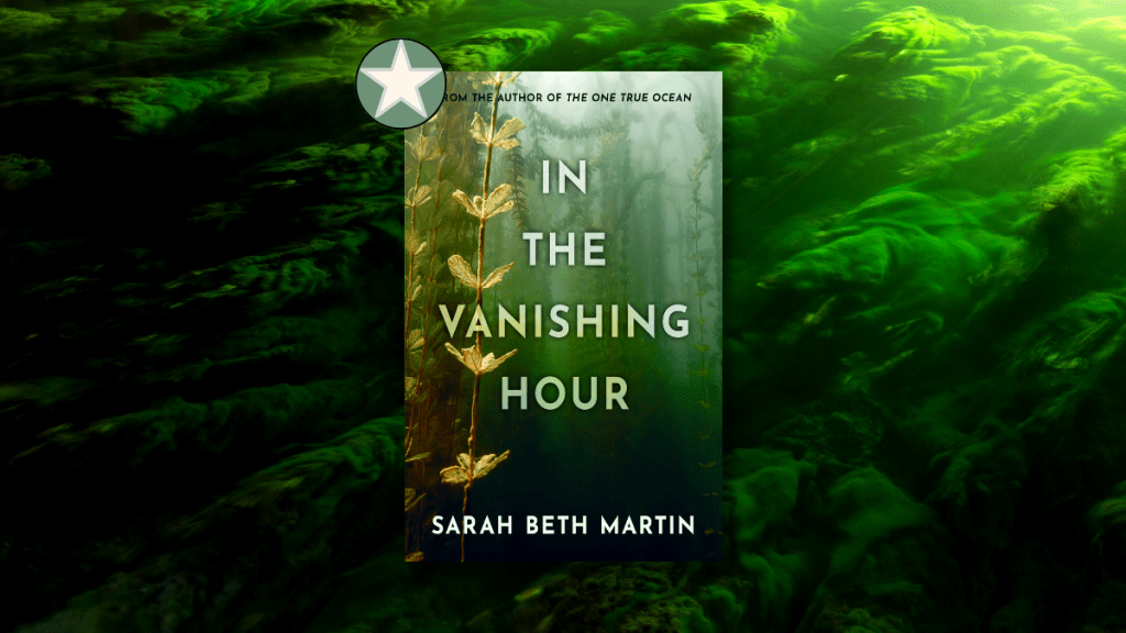 In the vanishing hour sarah beth martin starred book review