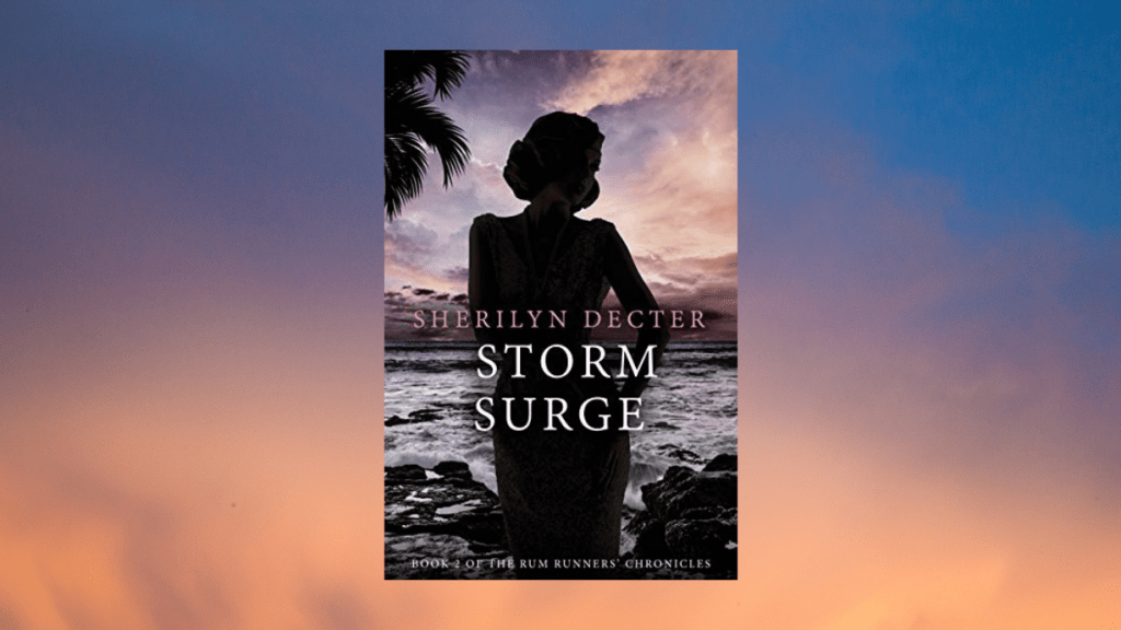 featured photo for Storm Surge by Sherilyn Decter