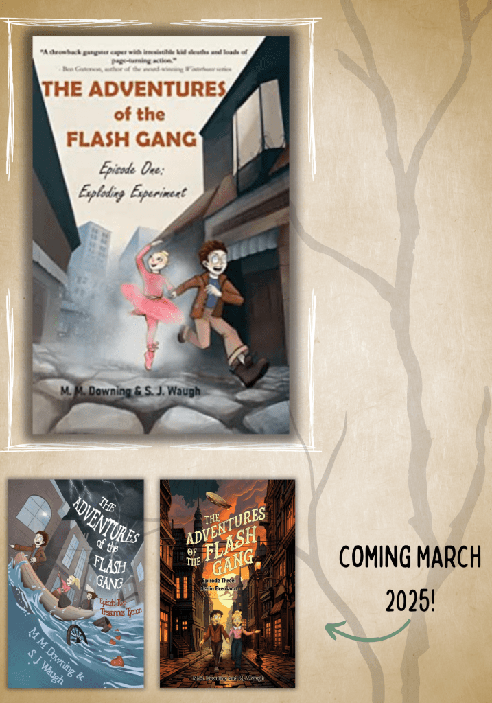 adventures of the flash gang series